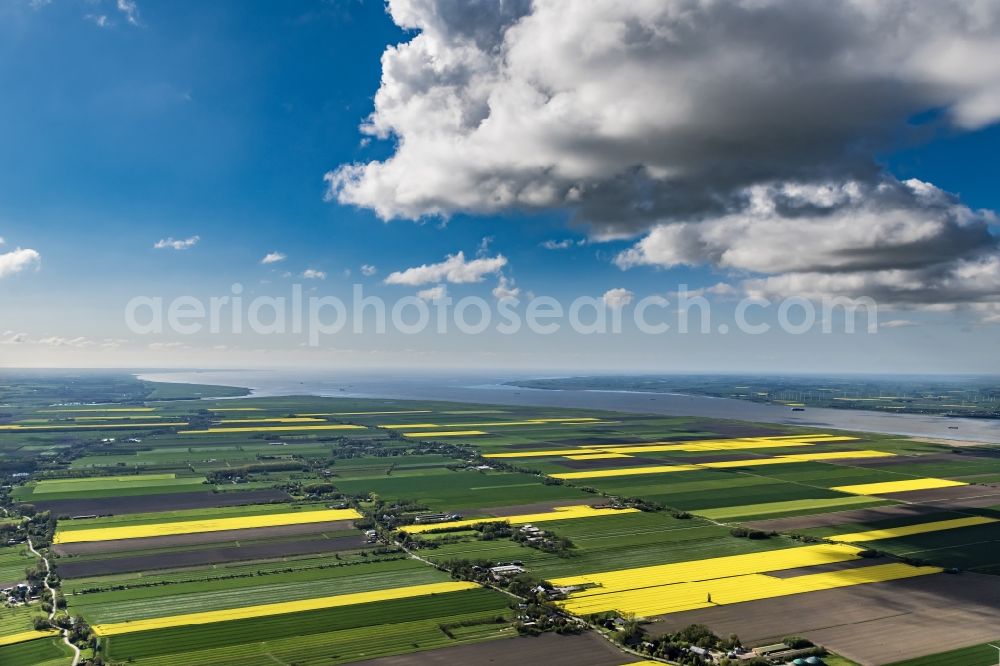 Balje from above - Yellow - green contrast of blooming rapeseed flowers in Balje an der Niederelbe in the state Lower Saxony, Germany