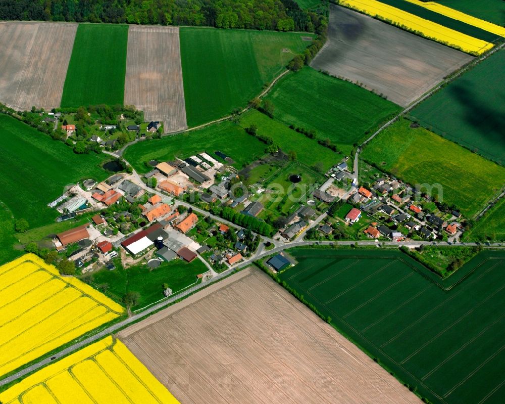 Bartelsdorf from the bird's eye view: Yellow - green contrast of blooming rapeseed flowers on field stripes in Bartelsdorf in the state Schleswig-Holstein, Germany