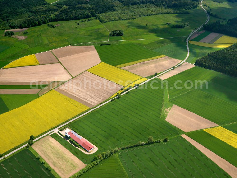 Aerial image Betzenweiler - Yellow - green contrast of blooming rapeseed flowers on field stripes in Betzenweiler in the state Baden-Wuerttemberg, Germany