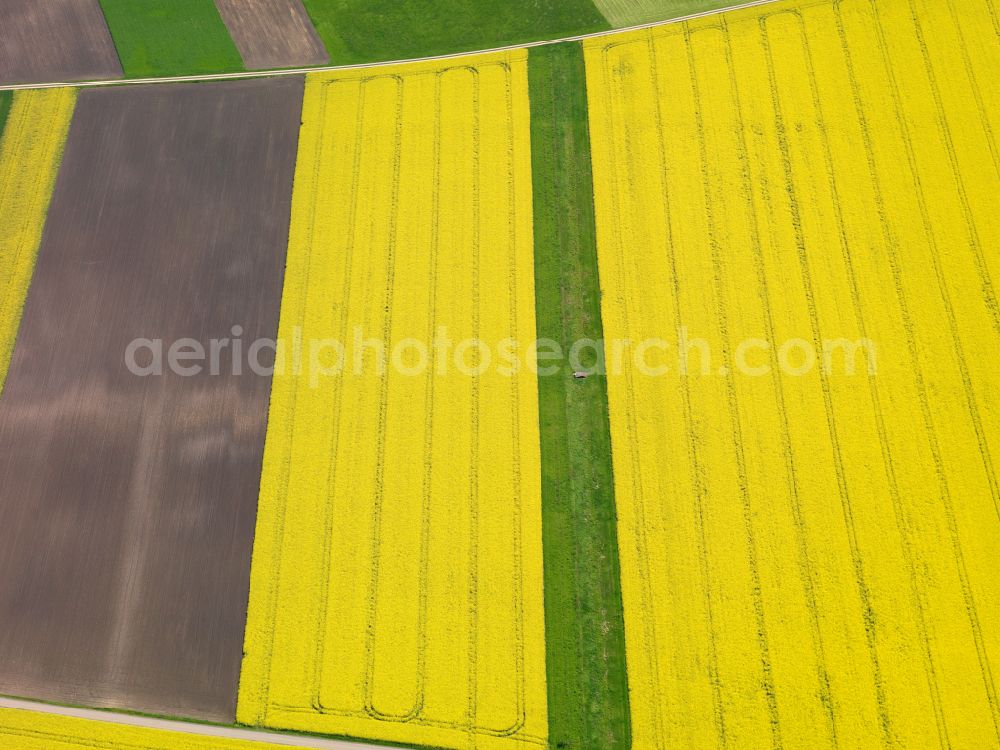 Aerial image Binzwangen - Yellow - green contrast of blooming rapeseed flowers on field stripes in Binzwangen in the state Baden-Wuerttemberg, Germany