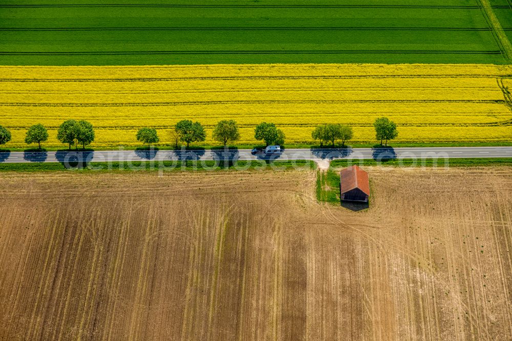 Aerial photograph Brilon - Yellow - green contrast of blooming rapeseed flowers on field stripes in Brilon at Sauerland in the state North Rhine-Westphalia, Germany