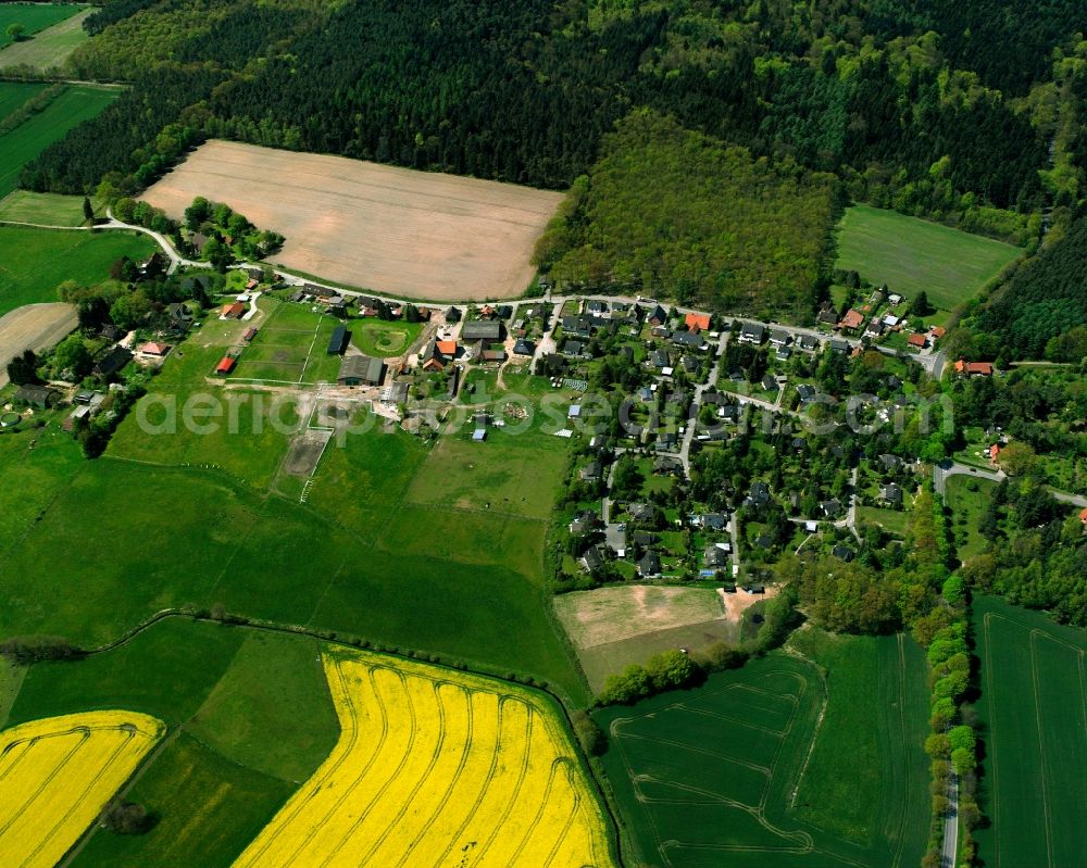 Brunsmark from above - Yellow - green contrast of blooming rapeseed flowers on field stripes in Brunsmark in the state Schleswig-Holstein, Germany