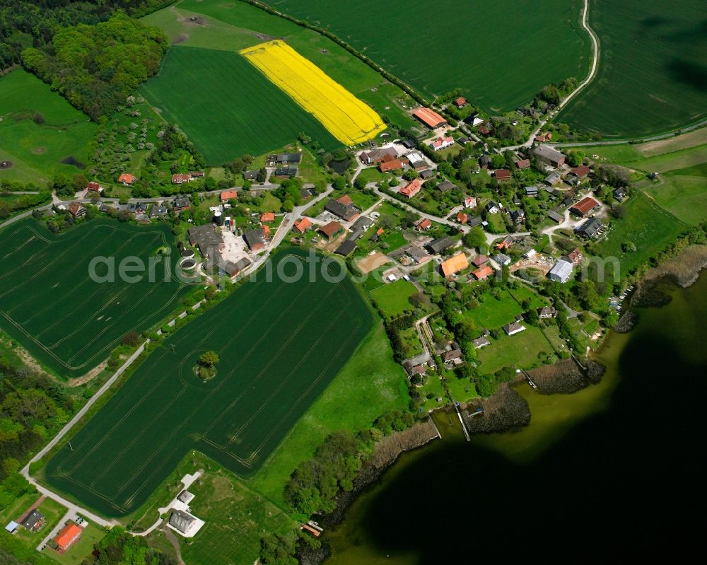 Aerial photograph Dargow - Yellow - green contrast of blooming rapeseed flowers on field stripes in Dargow in the state Schleswig-Holstein, Germany