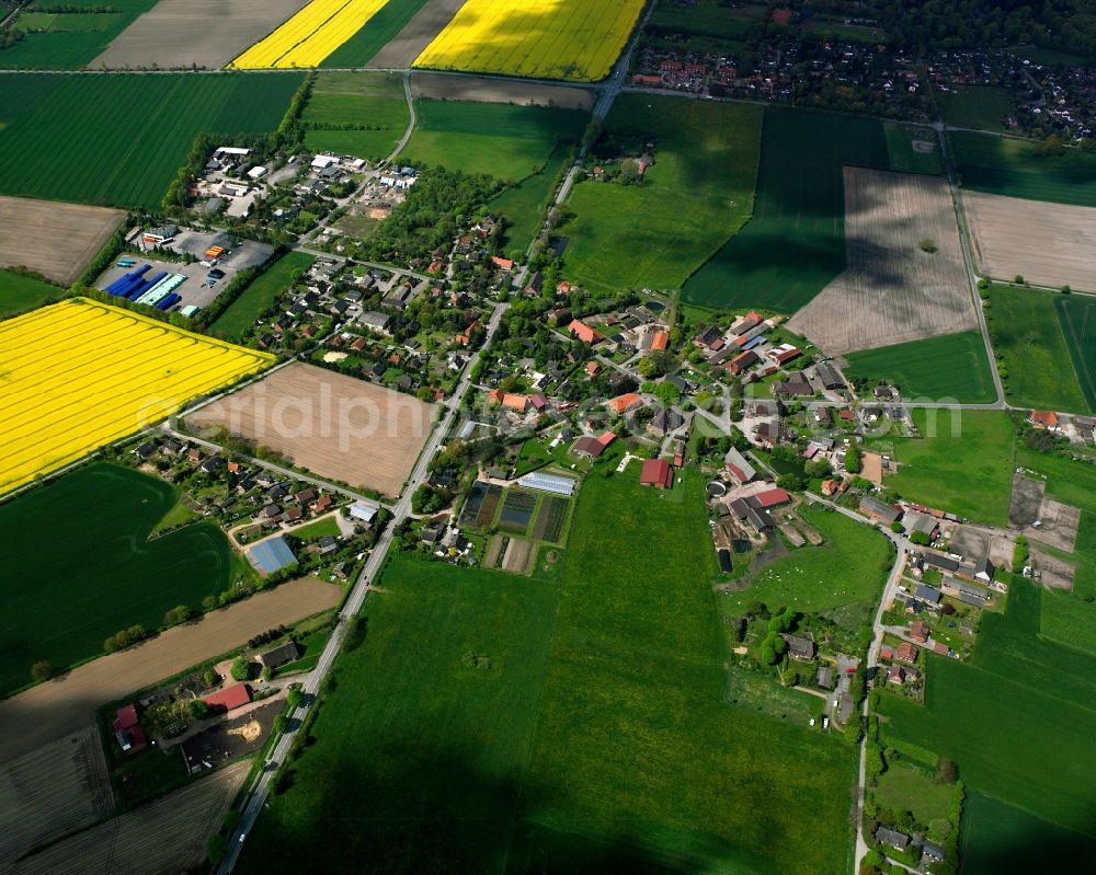 Dassendorf from the bird's eye view: Yellow - green contrast of blooming rapeseed flowers on field stripes in Dassendorf in the state Schleswig-Holstein, Germany