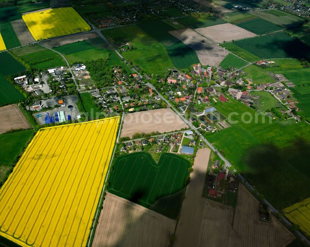 Aerial image Dassendorf - Yellow - green contrast of blooming rapeseed flowers on field stripes in Dassendorf in the state Schleswig-Holstein, Germany