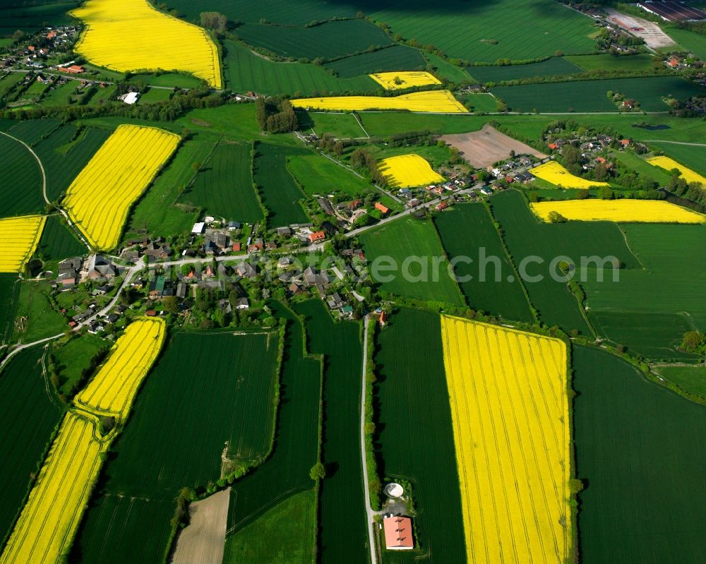 Düchelsdorf from the bird's eye view: Yellow - green contrast of blooming rapeseed flowers on field stripes in Düchelsdorf in the state Schleswig-Holstein, Germany