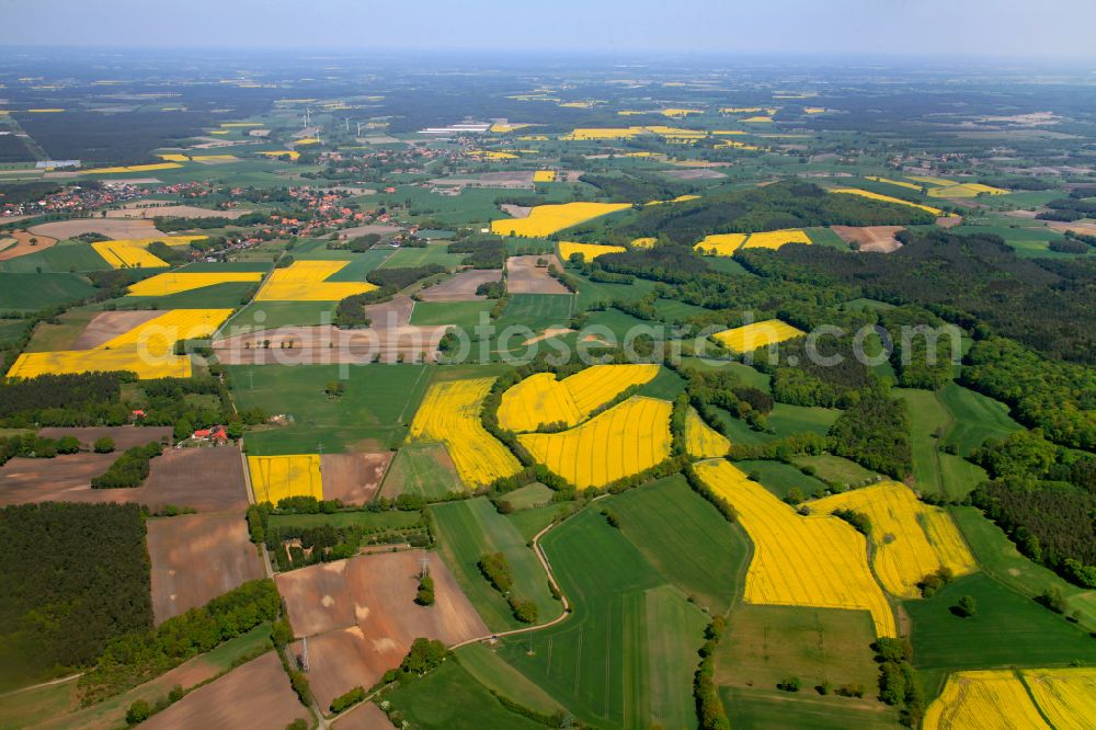 Aerial photograph Erichshagen-Wölpe - Yellow - green contrast of blooming rapeseed flowers on field stripes in Erichshagen-Woelpe in the state Lower Saxony, Germany