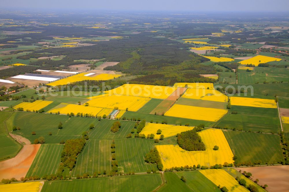 Aerial image Erichshagen-Wölpe - Yellow - green contrast of blooming rapeseed flowers on field stripes in Erichshagen-Woelpe in the state Lower Saxony, Germany