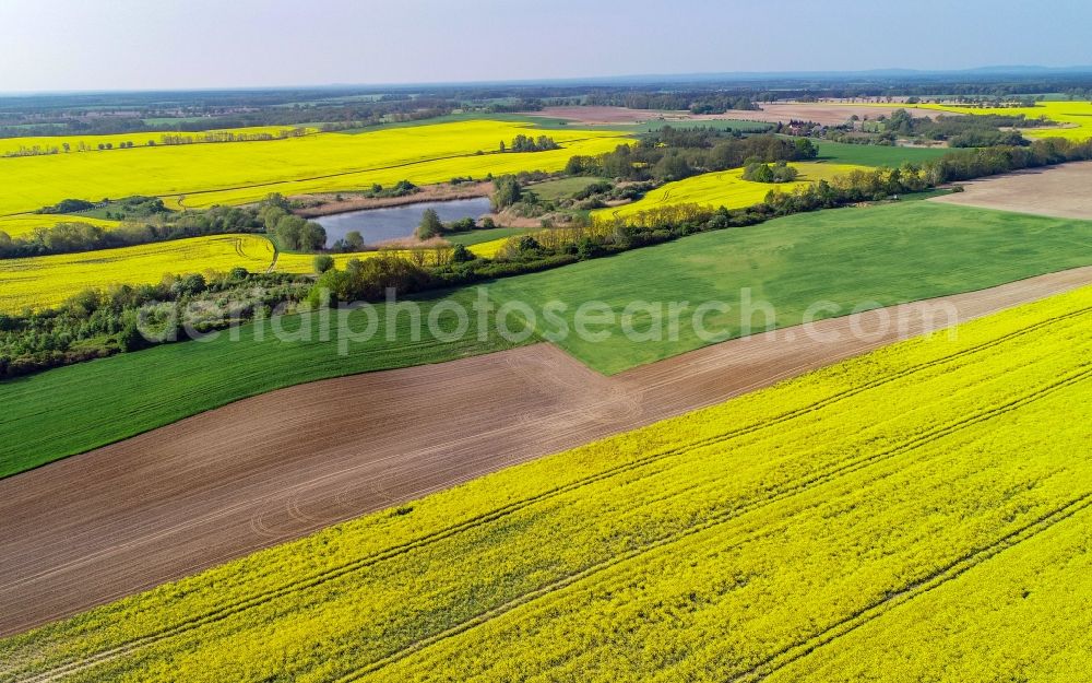 Falkenhagen (Mark) from above - Yellow - green contrast of blooming rapeseed flowers on field stripes in Falkenhagen (Mark) in the state Brandenburg, Germany