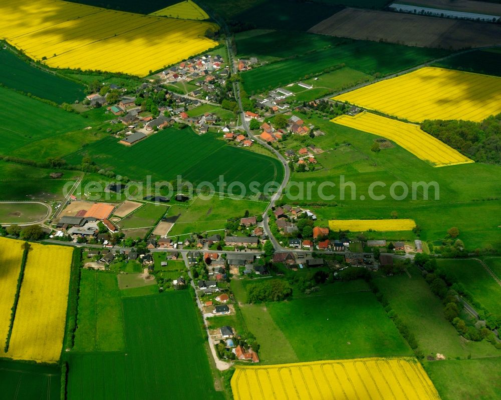 Franzhagen from the bird's eye view: Yellow - green contrast of blooming rapeseed flowers on field stripes in Franzhagen in the state Schleswig-Holstein, Germany