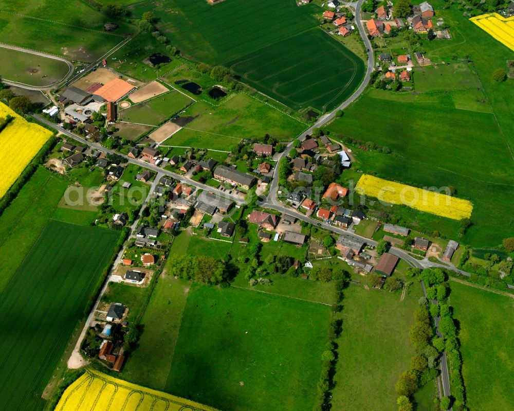 Aerial photograph Franzhagen - Yellow - green contrast of blooming rapeseed flowers on field stripes in Franzhagen in the state Schleswig-Holstein, Germany