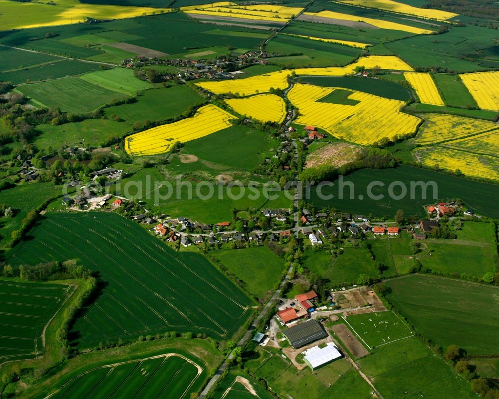 Aerial photograph Groß Boden - Yellow - green contrast of blooming rapeseed flowers on field stripes in Groß Boden in the state Schleswig-Holstein, Germany