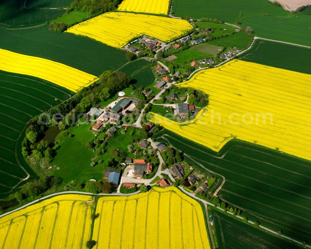 Groß Disnack from above - Yellow - green contrast of blooming rapeseed flowers on field stripes in Groß Disnack in the state Schleswig-Holstein, Germany