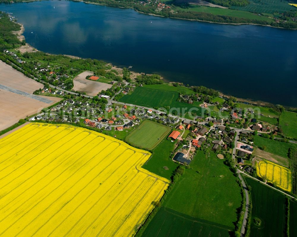 Groß Sarau from the bird's eye view: Yellow - green contrast of blooming rapeseed flowers on field stripes in Groß Sarau in the state Schleswig-Holstein, Germany