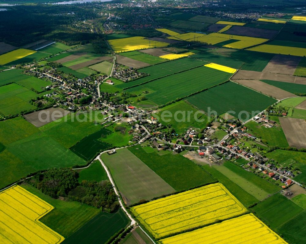 Aerial photograph Hamwarde - Yellow - green contrast of blooming rapeseed flowers on field stripes in Hamwarde in the state Schleswig-Holstein, Germany