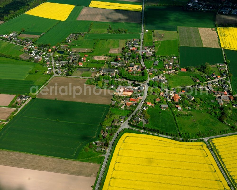 Hohenhorn from above - Yellow - green contrast of blooming rapeseed flowers on field stripes in Hohenhorn in the state Schleswig-Holstein, Germany