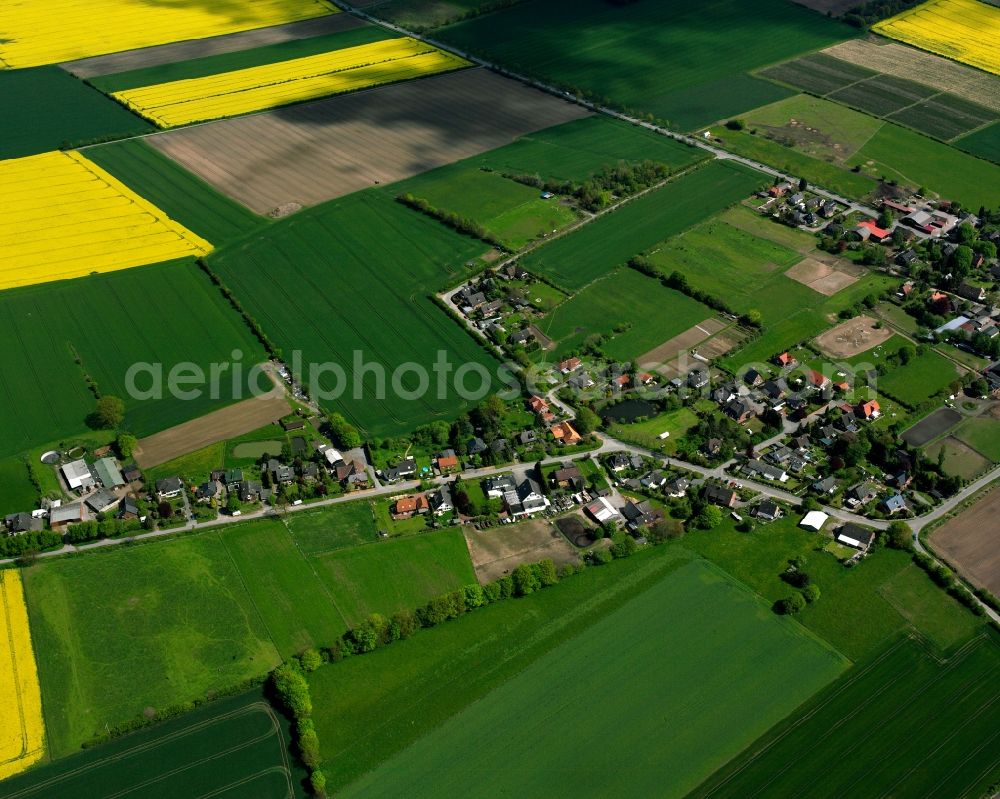 Hohenhorn from the bird's eye view: Yellow - green contrast of blooming rapeseed flowers on field stripes in Hohenhorn in the state Schleswig-Holstein, Germany