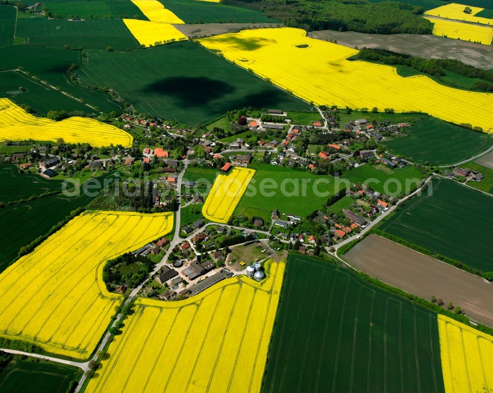 Hollenbek from above - Yellow - green contrast of blooming rapeseed flowers on field stripes in Hollenbek in the state Schleswig-Holstein, Germany