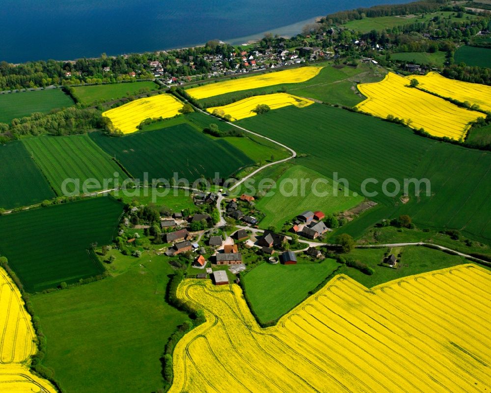 Aerial photograph Holstendorf - Yellow - green contrast of blooming rapeseed flowers on field stripes in Holstendorf in the state Schleswig-Holstein, Germany