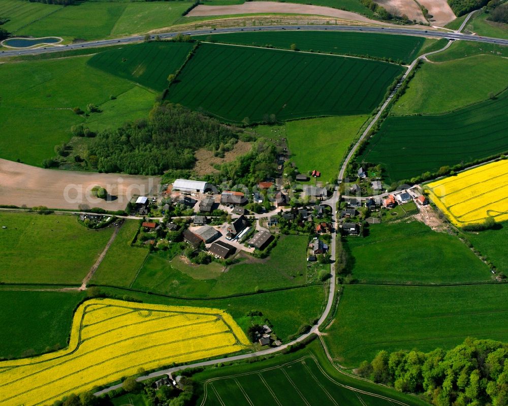 Hornstorf from above - Yellow - green contrast of blooming rapeseed flowers on field stripes in Hornstorf in the state Schleswig-Holstein, Germany