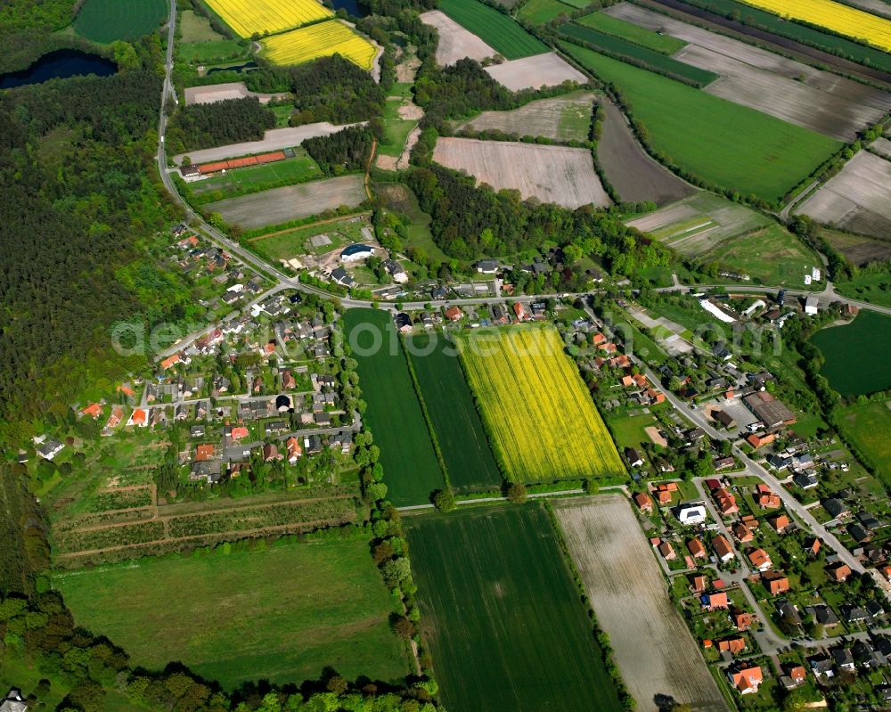 St. Jürgen from the bird's eye view: Yellow - green contrast of blooming rapeseed flowers on field stripes in St. Jürgen in the state Schleswig-Holstein, Germany