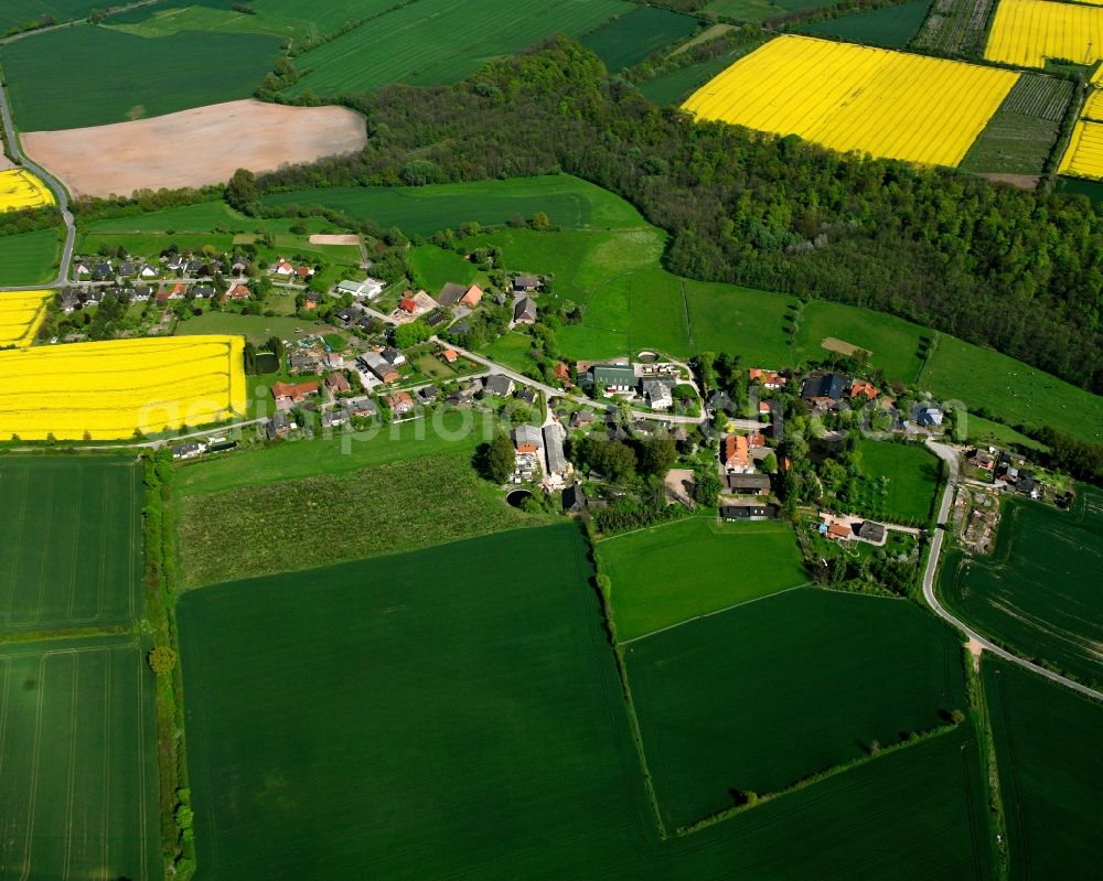 Aerial image Klein Sarau - Yellow - green contrast of blooming rapeseed flowers on field stripes in Klein Sarau in the state Schleswig-Holstein, Germany