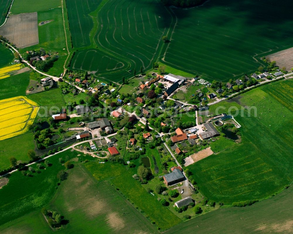 Aerial image Klein Zecher - Yellow - green contrast of blooming rapeseed flowers on field stripes in Klein Zecher in the state Schleswig-Holstein, Germany