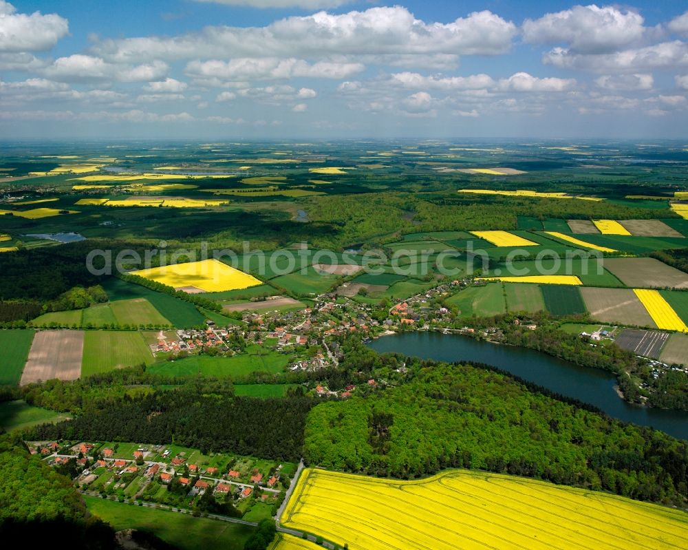 Kogel Siedlung from the bird's eye view: Yellow - green contrast of blooming rapeseed flowers on field stripes in Kogel Siedlung in the state Schleswig-Holstein, Germany