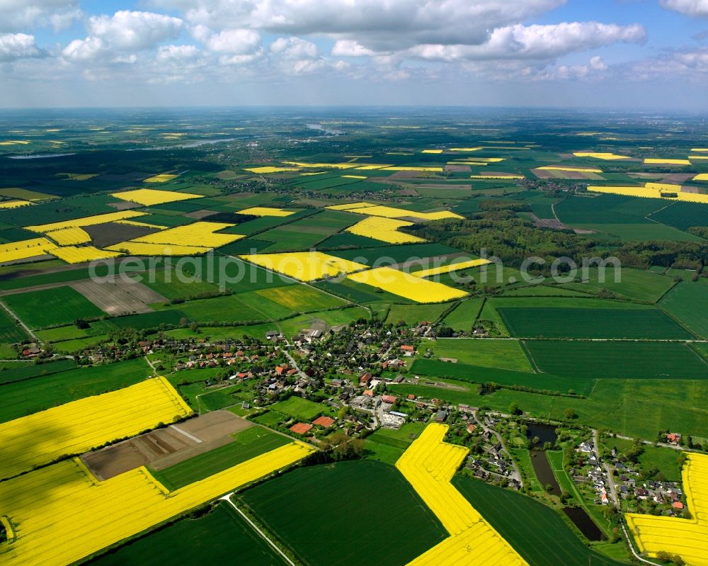 Kollow from above - Yellow - green contrast of blooming rapeseed flowers on field stripes in Kollow in the state Schleswig-Holstein, Germany