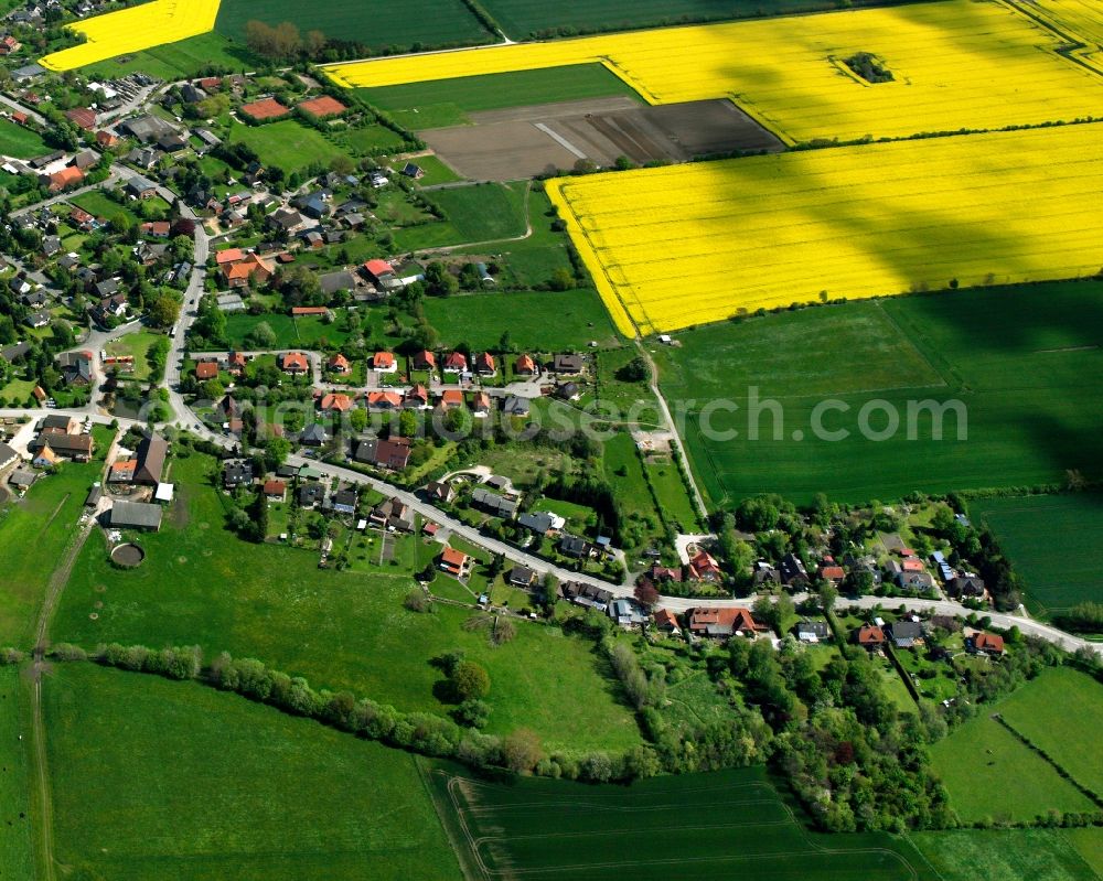 Aerial image Kollow - Yellow - green contrast of blooming rapeseed flowers on field stripes in Kollow in the state Schleswig-Holstein, Germany