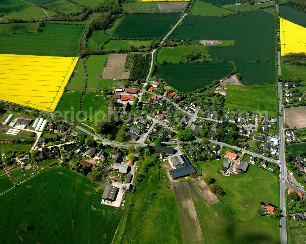 Kröppelshagen-Fahrendorf from above - Yellow - green contrast of blooming rapeseed flowers on field stripes in Kröppelshagen-Fahrendorf in the state Schleswig-Holstein, Germany