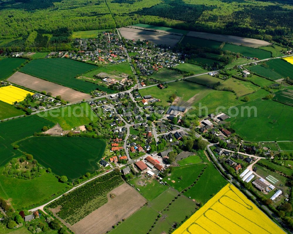 Kröppelshagen-Fahrendorf from the bird's eye view: Yellow - green contrast of blooming rapeseed flowers on field stripes in Kröppelshagen-Fahrendorf in the state Schleswig-Holstein, Germany