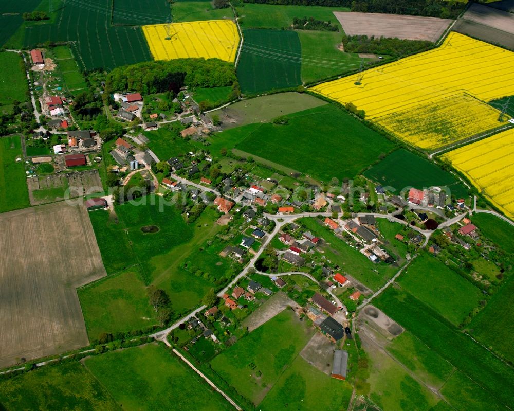 Aerial photograph Krukow - Yellow - green contrast of blooming rapeseed flowers on field stripes in Krukow in the state Schleswig-Holstein, Germany