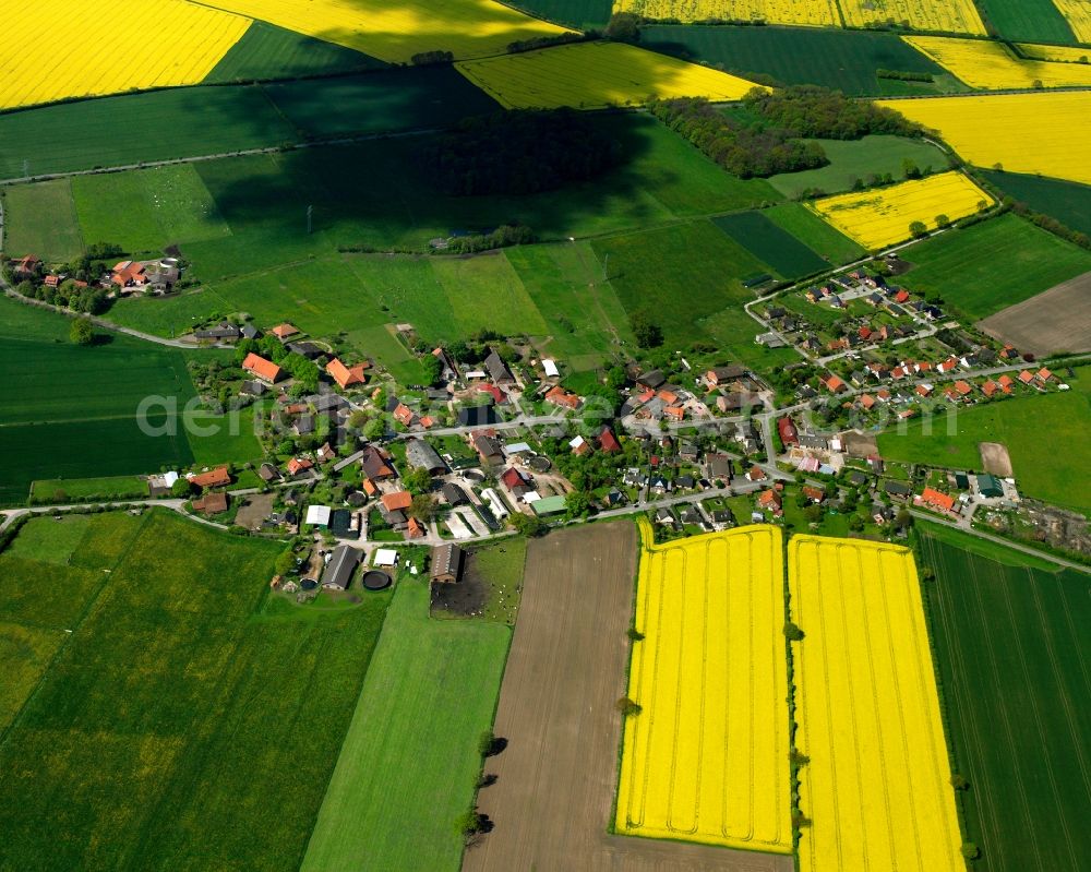 Aerial photograph Krüzen - Yellow - green contrast of blooming rapeseed flowers on field stripes in Krüzen in the state Schleswig-Holstein, Germany