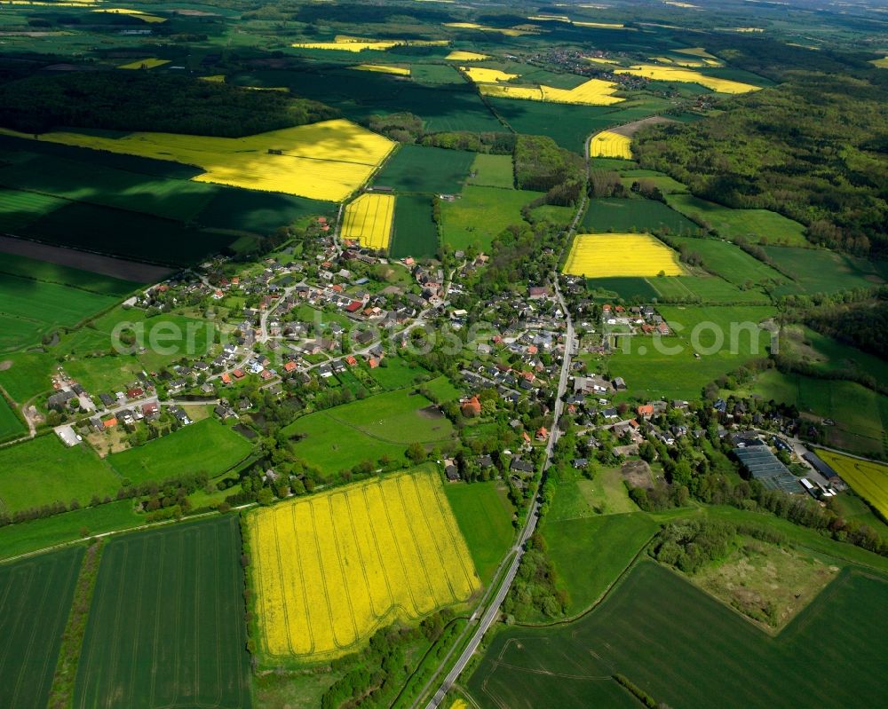 Aerial photograph Köthel - Yellow - green contrast of blooming rapeseed flowers on field stripes in Köthel in the state Schleswig-Holstein, Germany