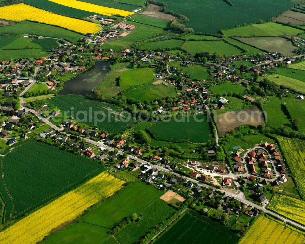 Labenz from the bird's eye view: Yellow - green contrast of blooming rapeseed flowers on field stripes in Labenz in the state Schleswig-Holstein, Germany