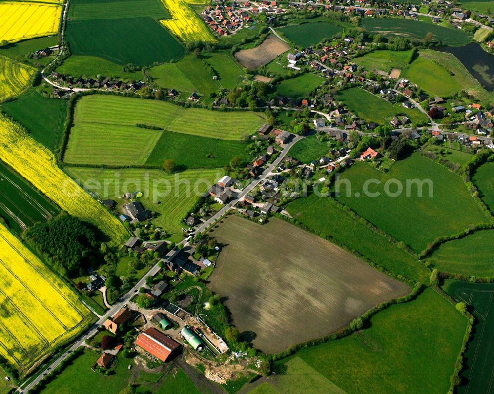 Aerial photograph Labenz - Yellow - green contrast of blooming rapeseed flowers on field stripes in Labenz in the state Schleswig-Holstein, Germany