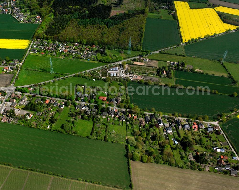 Aerial photograph Neu-Börnsen - Yellow - green contrast of blooming rapeseed flowers on field stripes in Neu-Börnsen in the state Schleswig-Holstein, Germany