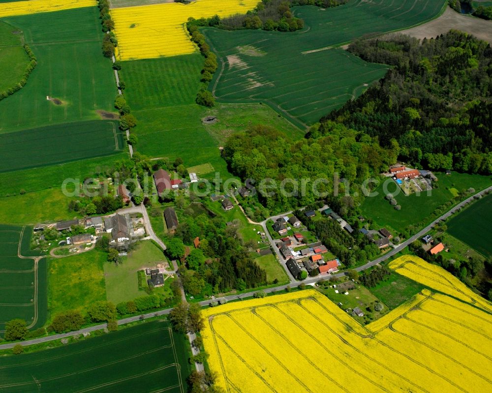 Neuhorst from the bird's eye view: Yellow - green contrast of blooming rapeseed flowers on field stripes in Neuhorst in the state Schleswig-Holstein, Germany