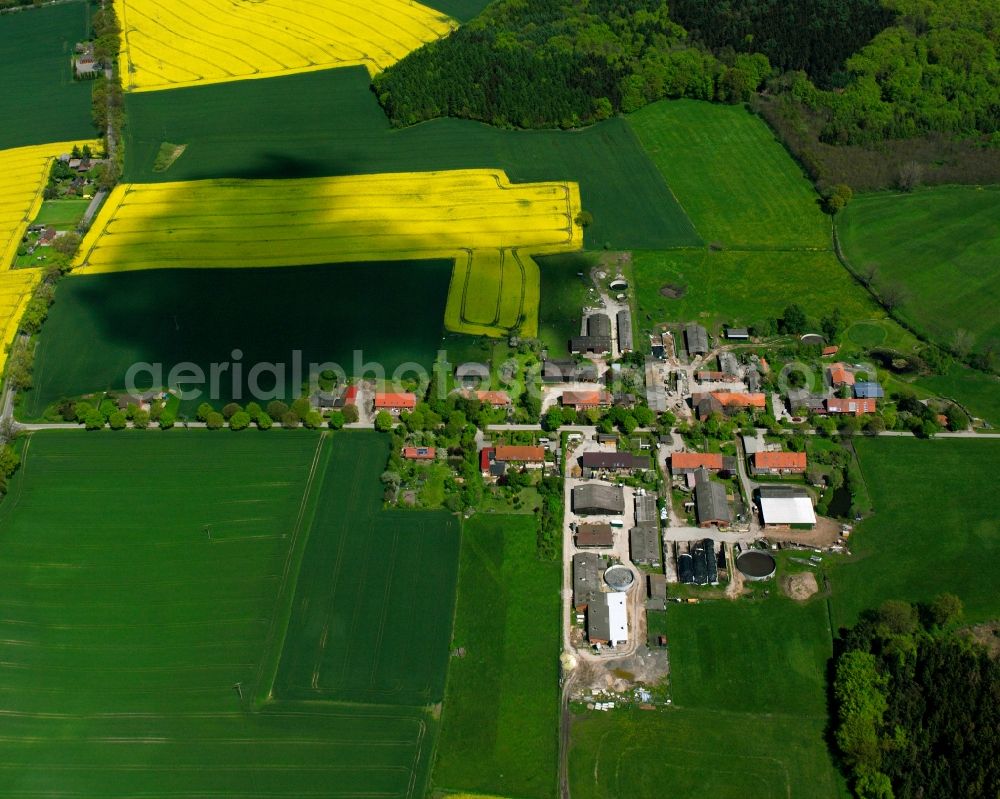 Aerial image Neuhorst - Yellow - green contrast of blooming rapeseed flowers on field stripes in Neuhorst in the state Schleswig-Holstein, Germany