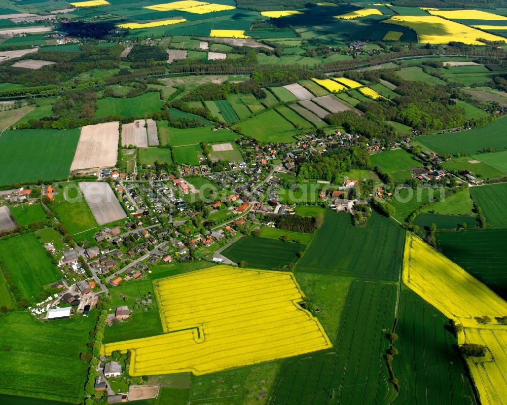 Aerial photograph Rondeshagen - Yellow - green contrast of blooming rapeseed flowers on field stripes in Rondeshagen in the state Schleswig-Holstein, Germany