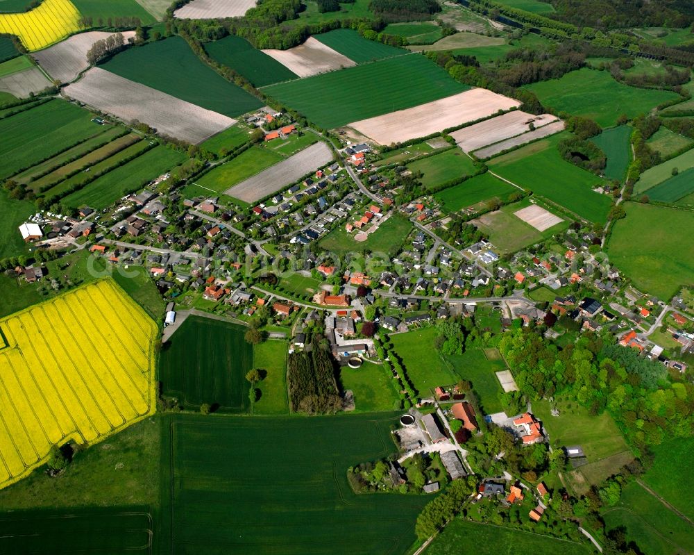 Rondeshagen from the bird's eye view: Yellow - green contrast of blooming rapeseed flowers on field stripes in Rondeshagen in the state Schleswig-Holstein, Germany