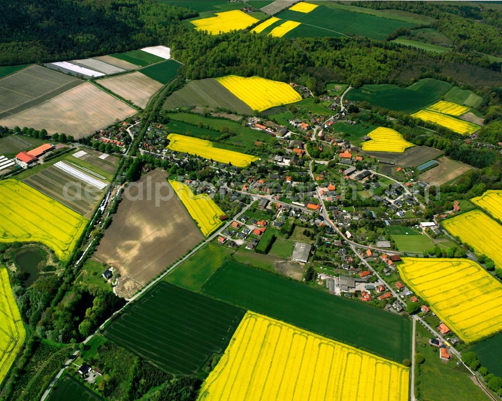 Schmilau from above - Yellow - green contrast of blooming rapeseed flowers on field stripes in Schmilau in the state Schleswig-Holstein, Germany