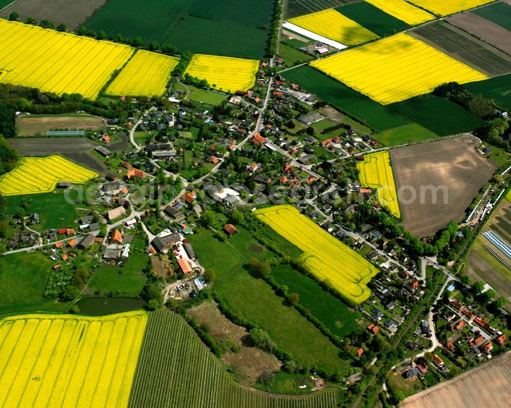 Schmilau from the bird's eye view: Yellow - green contrast of blooming rapeseed flowers on field stripes in Schmilau in the state Schleswig-Holstein, Germany