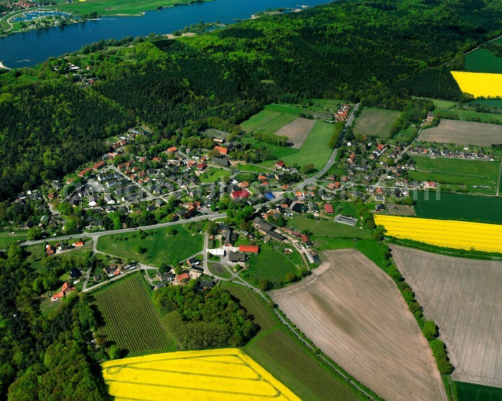 Schnakenbek from above - Yellow - green contrast of blooming rapeseed flowers on field stripes in Schnakenbek in the state Schleswig-Holstein, Germany