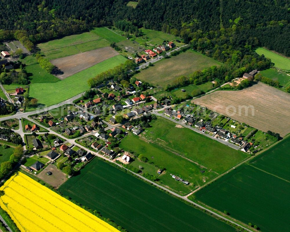 Aerial image Schnakenbek - Yellow - green contrast of blooming rapeseed flowers on field stripes in Schnakenbek in the state Schleswig-Holstein, Germany