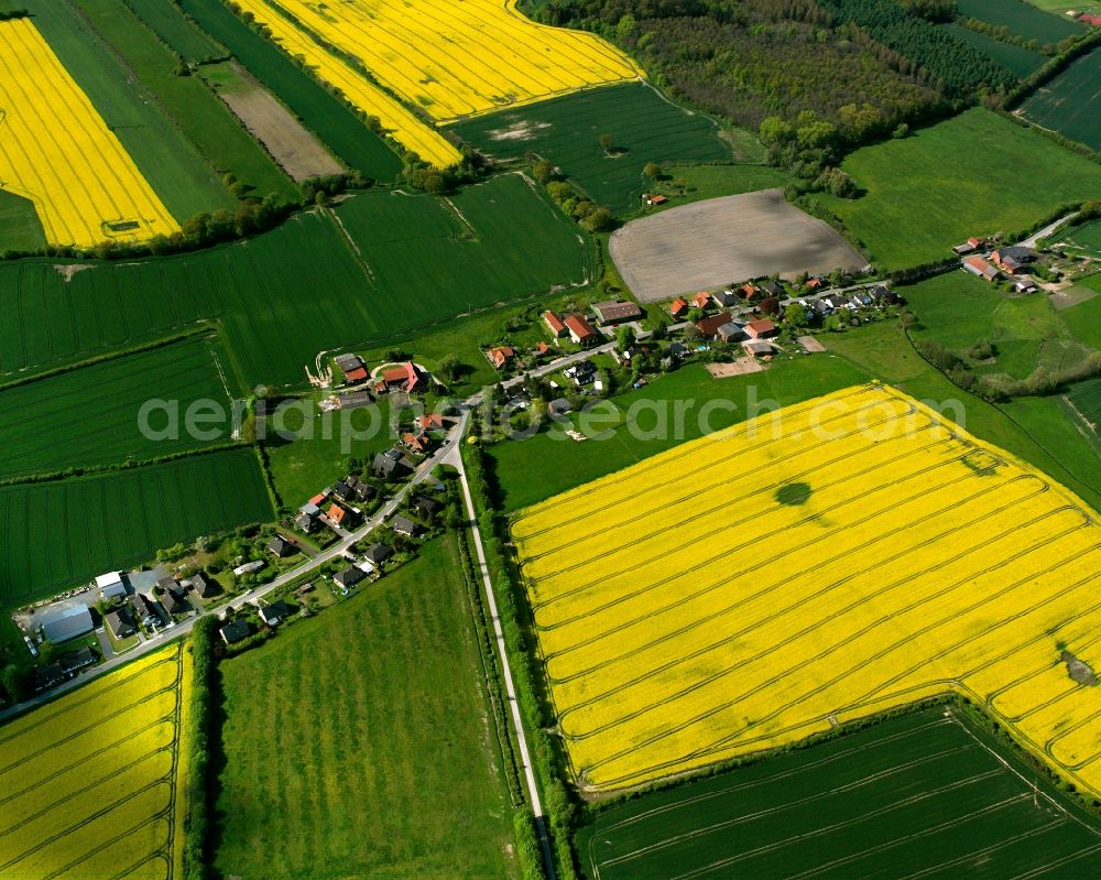 Schürensöhlen from above - Yellow - green contrast of blooming rapeseed flowers on field stripes in Schürensöhlen in the state Schleswig-Holstein, Germany