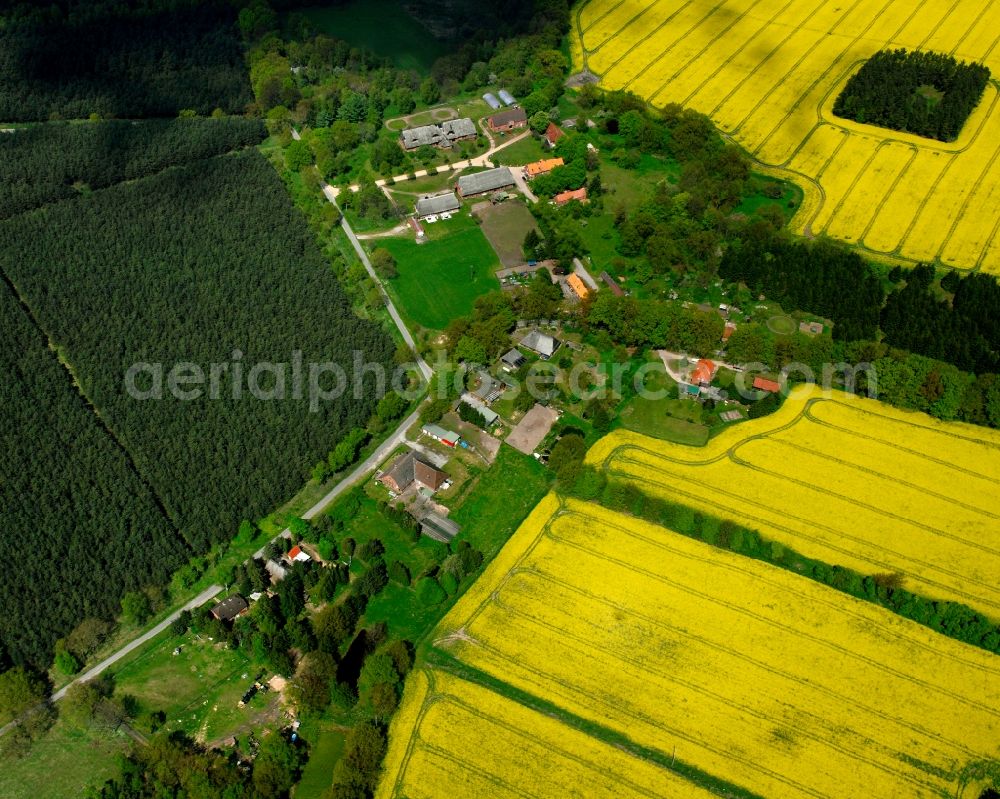 Aerial photograph Segrahn - Yellow - green contrast of blooming rapeseed flowers on field stripes in Segrahn in the state Schleswig-Holstein, Germany