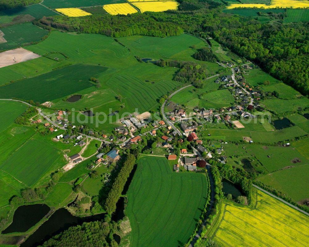 Aerial photograph Sirksfelde - Yellow - green contrast of blooming rapeseed flowers on field stripes in Sirksfelde in the state Schleswig-Holstein, Germany