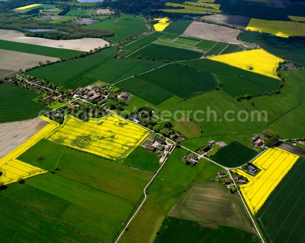 Sophienthal from the bird's eye view: Yellow - green contrast of blooming rapeseed flowers on field stripes in Sophienthal in the state Schleswig-Holstein, Germany